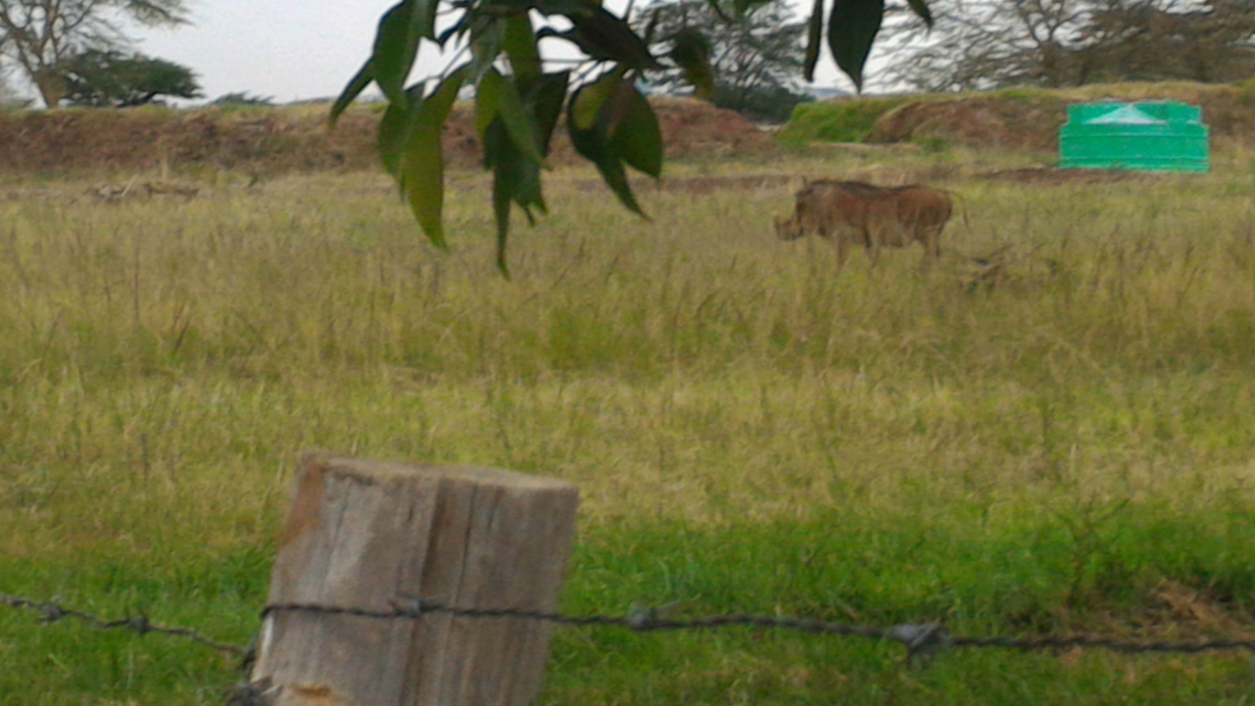Thorngroove 1/8 Acre Plot for Sale in Kitengela - Image 2